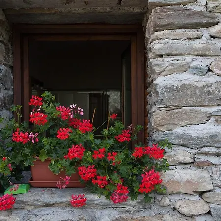 Farm stay Agriturismo Al Castagneto *