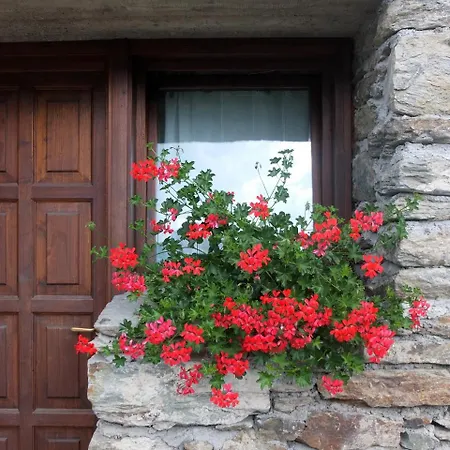 Agriturismo Al Castagneto Farm stay Mazzo di Valtellina