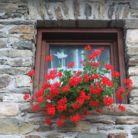Agriturismo Al Castagneto Farm stay Mazzo di Valtellina